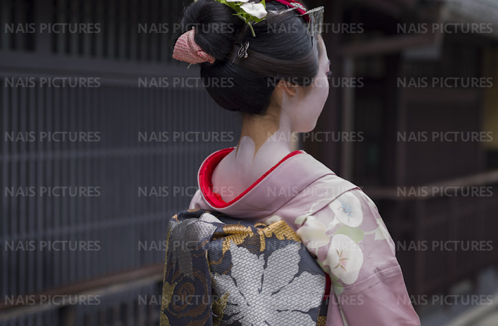 maiko in Kyoto